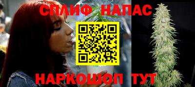 сатива Кинель