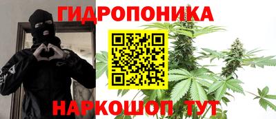 сатива Кинель