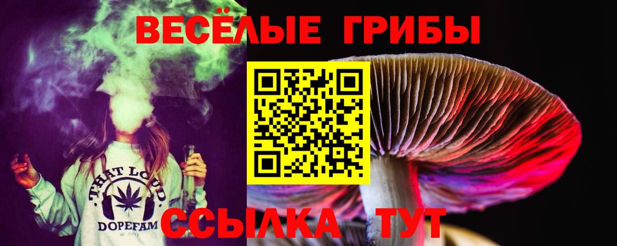 Ликино-Дулёво  Галлюциногенные грибы мухоморы  Вход с VPN 